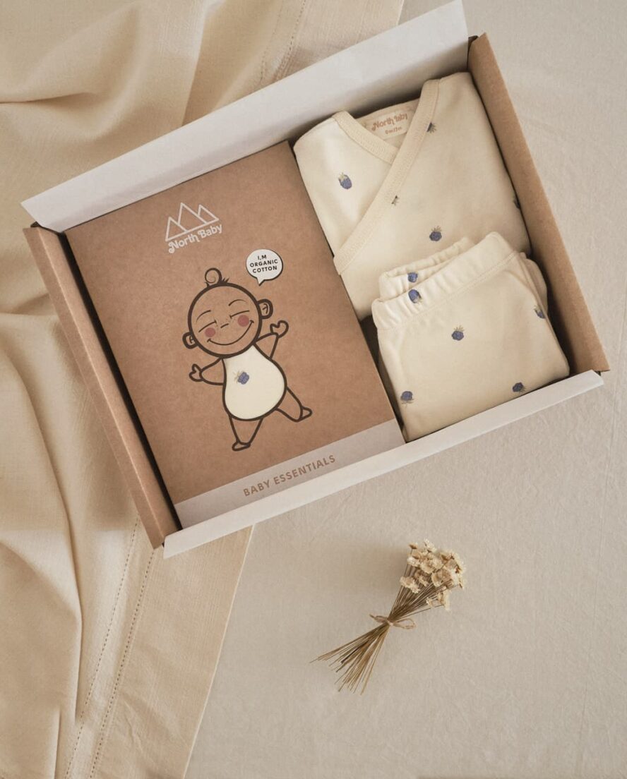 set regalo bebé primera puesta North Baby Blueberries